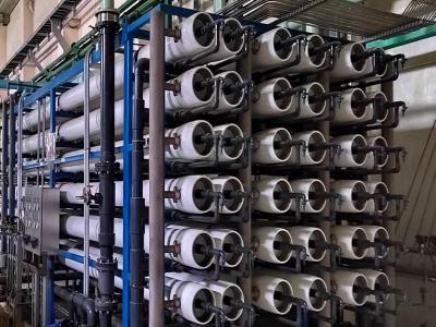 微生物污染及防治 微生物污染及防治